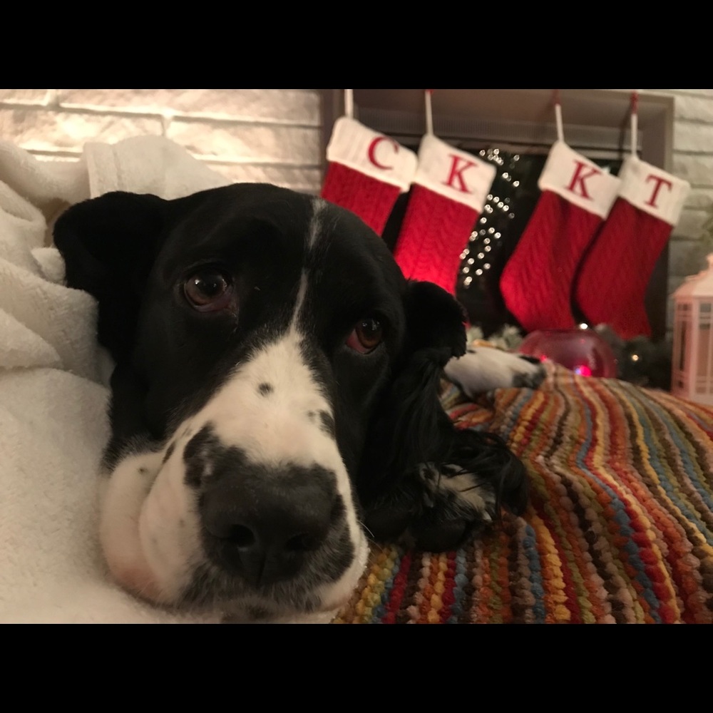 Meet your Posher, Kathy